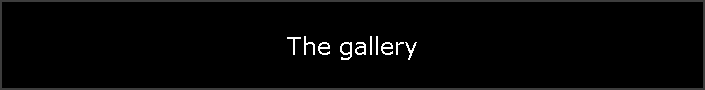 The gallery