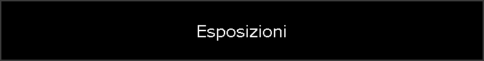 Esposizioni