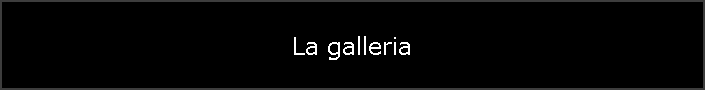 La galleria